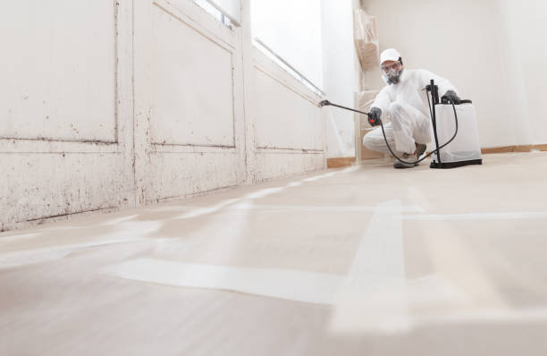 24/7 Emergency Mold Remediation experts in Monte Vista, CO