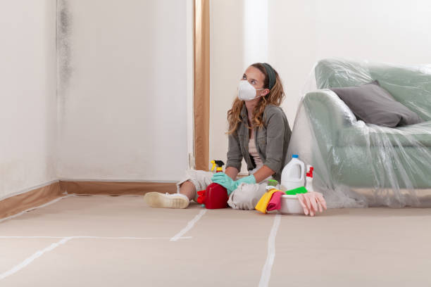 Reliable Mold Remediation contractor in Monte Vista, CO by 24 Hour Mold Removal